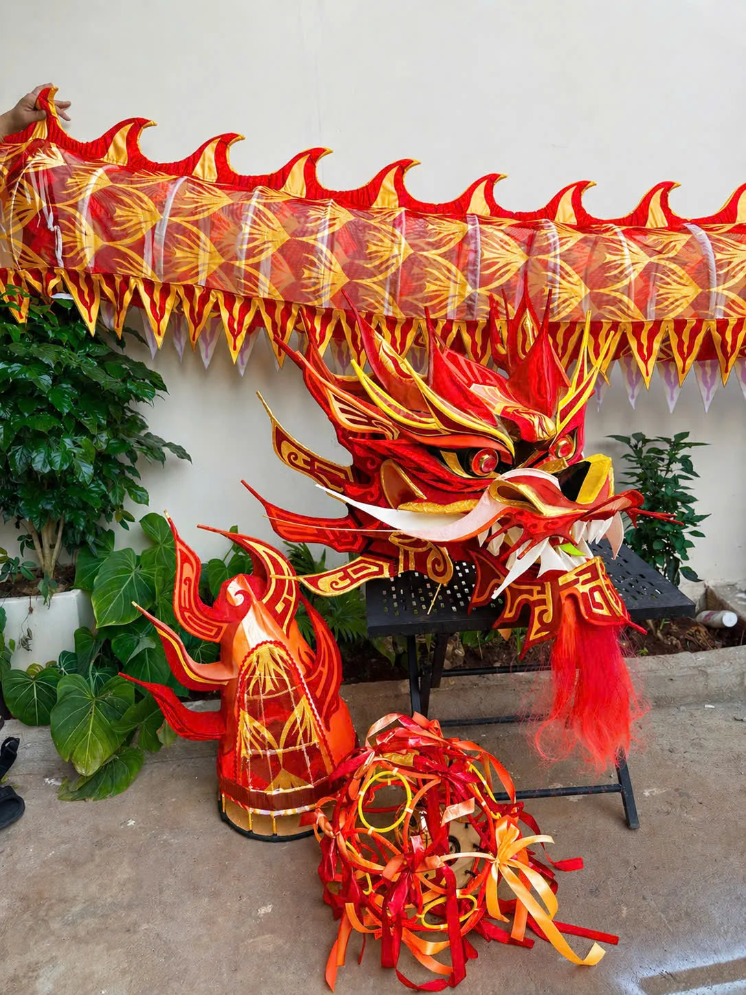 RỒNG FULL SET ĐỎ