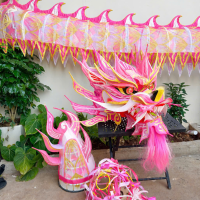 RỒNG FULL SET HỒNG
