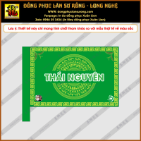 CỜ THI ĐẤU THÁI NGUYÊN